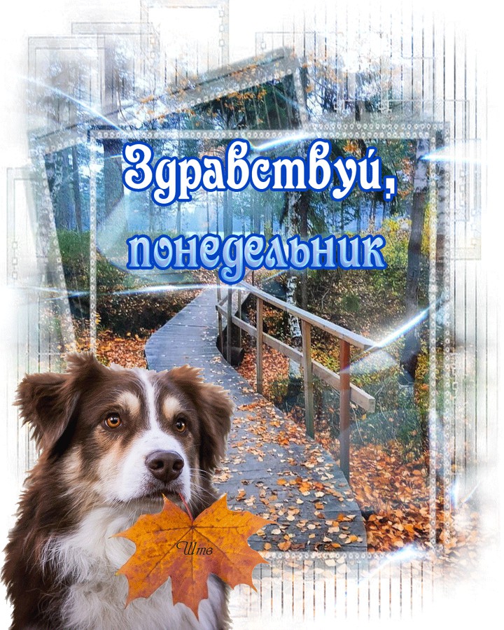 прочь грустные мысли!