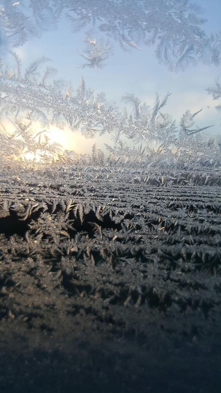 Frozen window