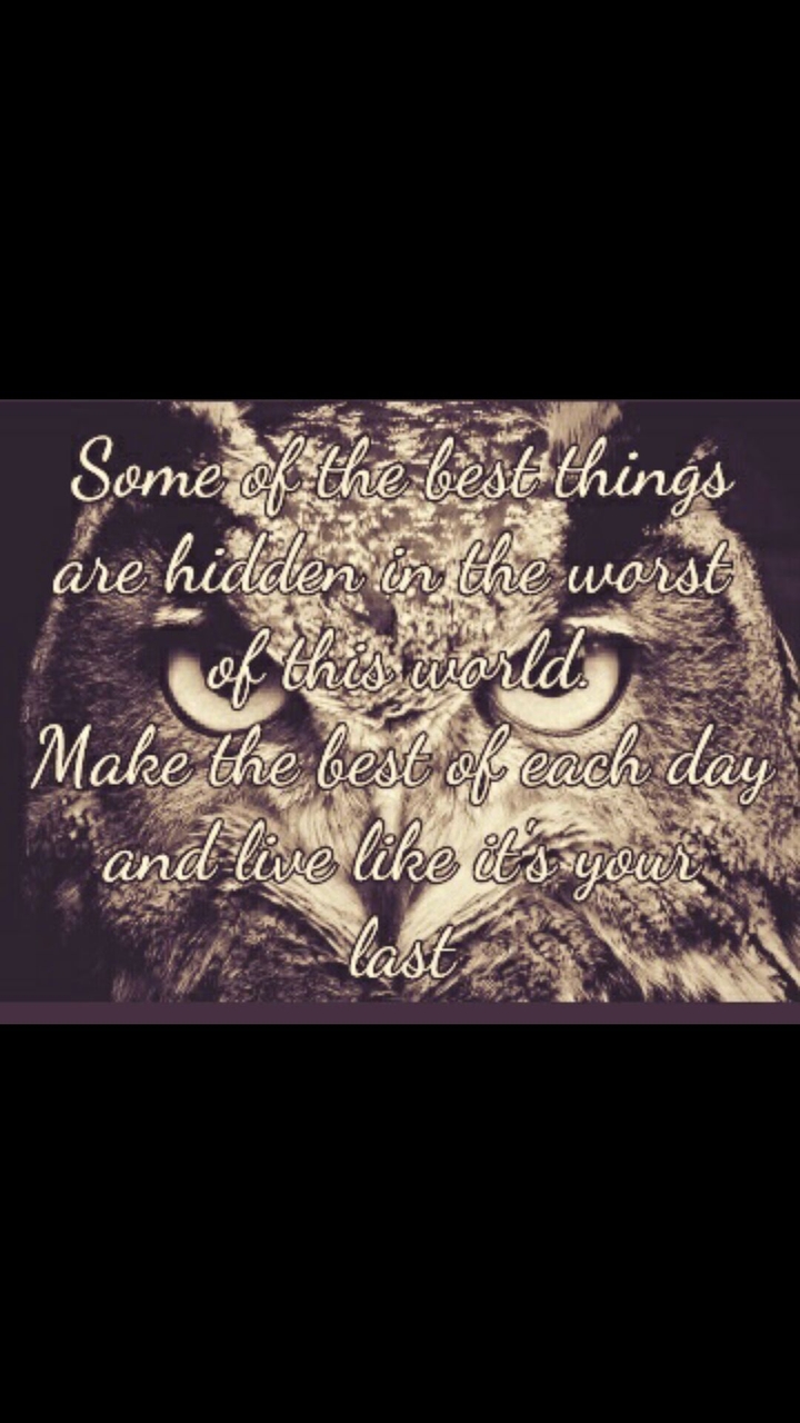 quote of day