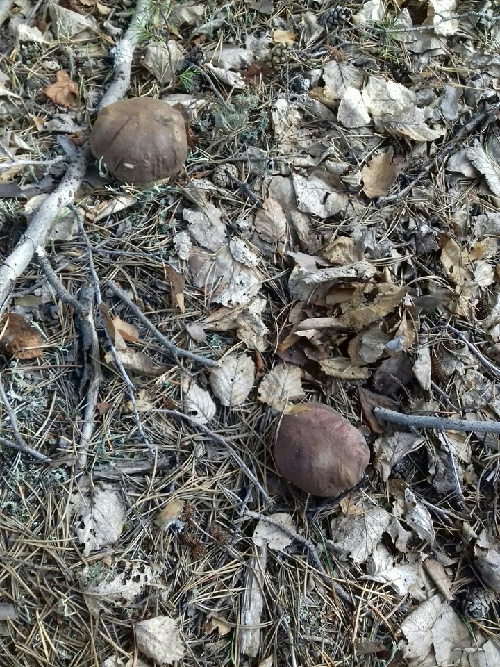 ?