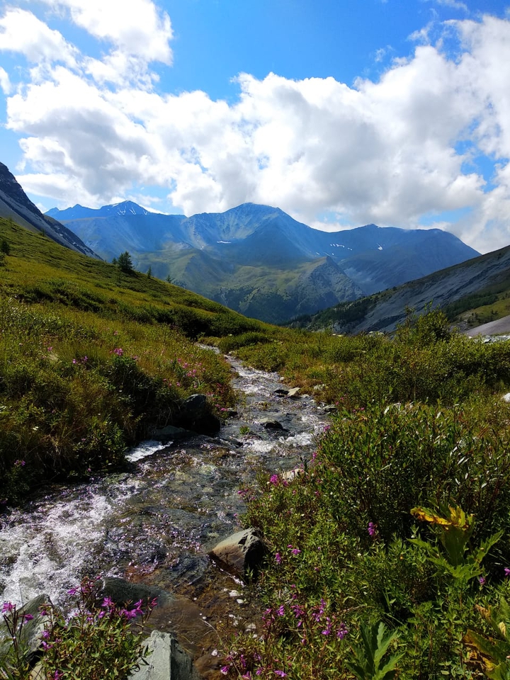 Altai