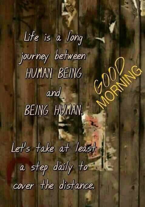 good morning