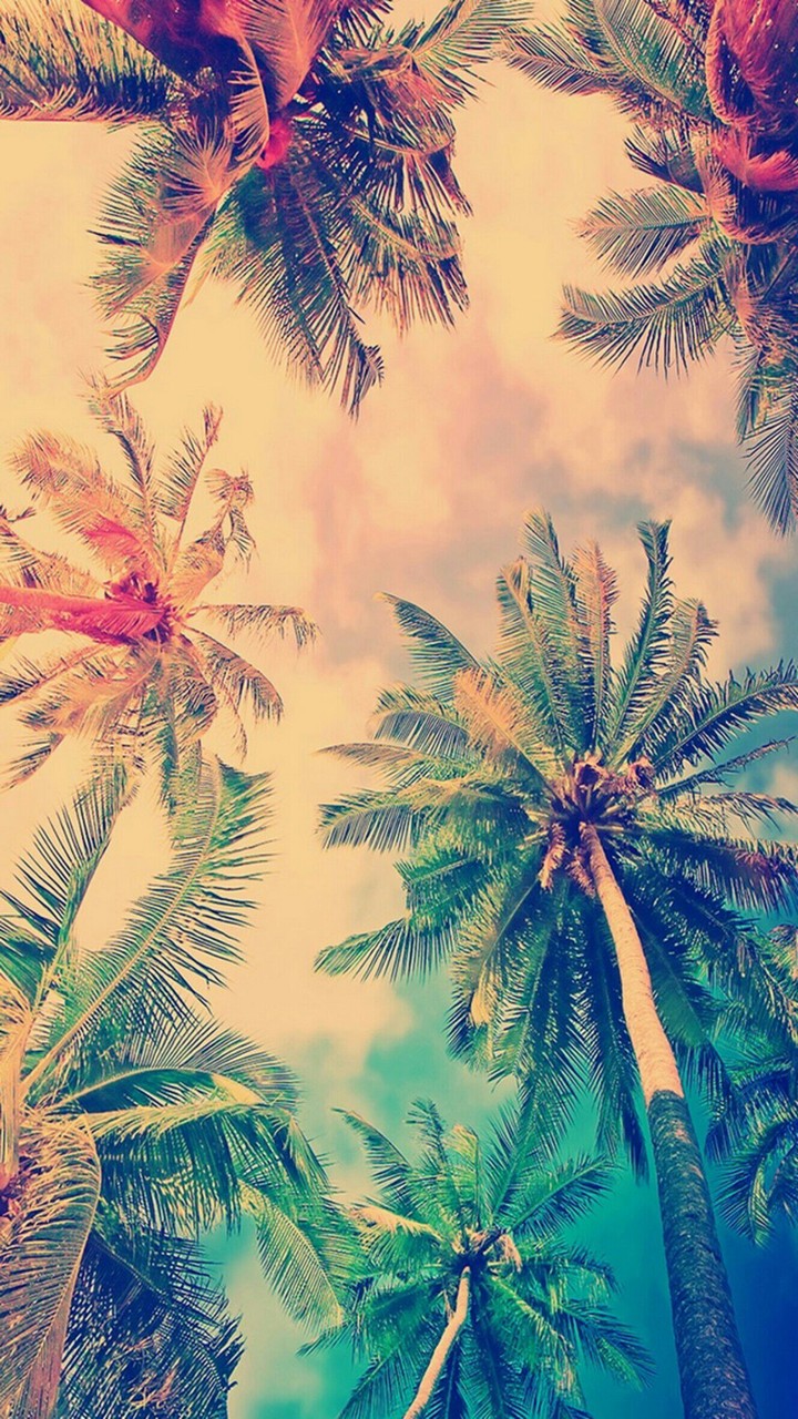 False Color Coconut Trees iPhone 6 Wallpaper