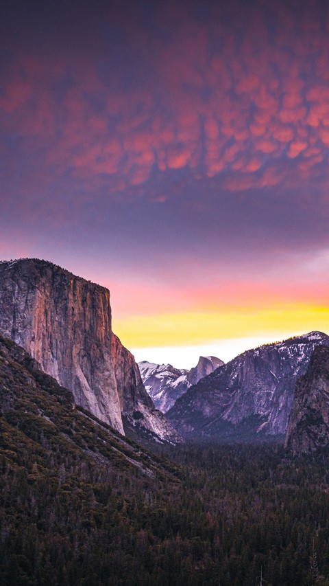 follow for high quality wallpapers