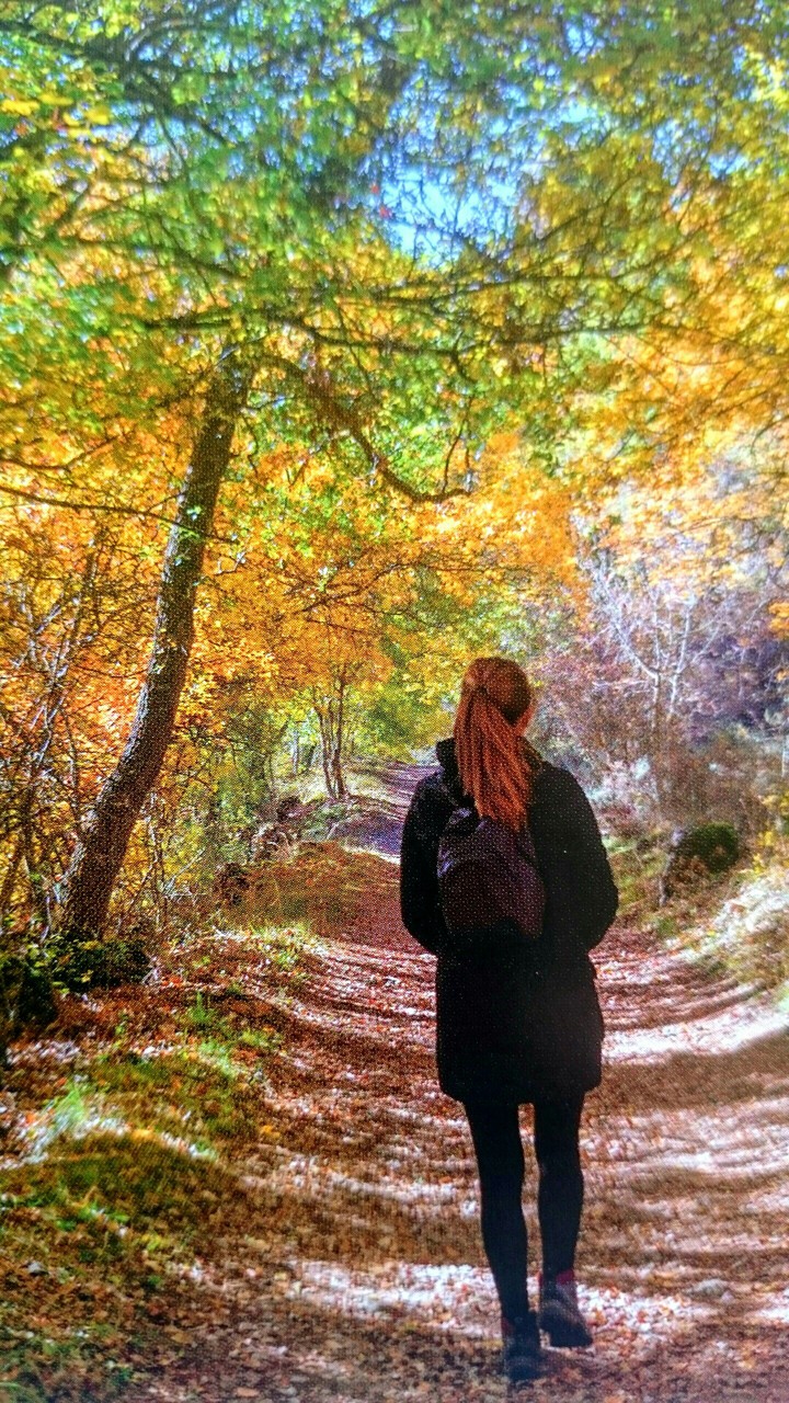 AUTUMN WANDERER