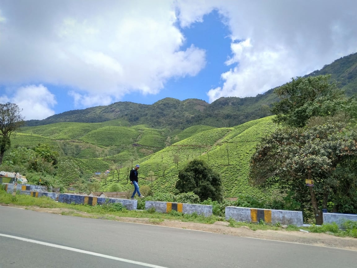 hills love