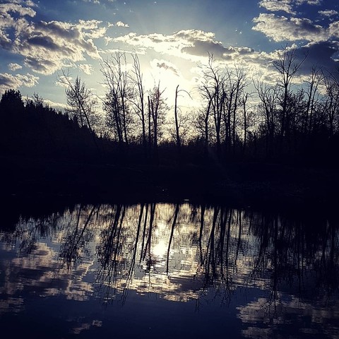 Reflection - 2.