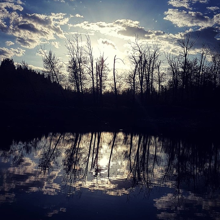 Reflection - 2.