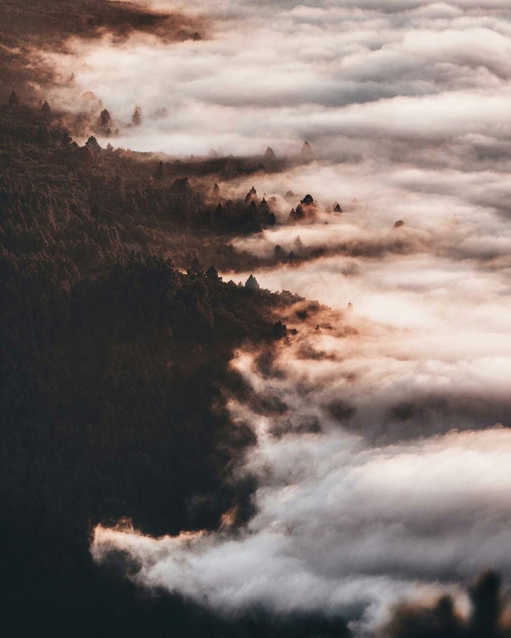 mist