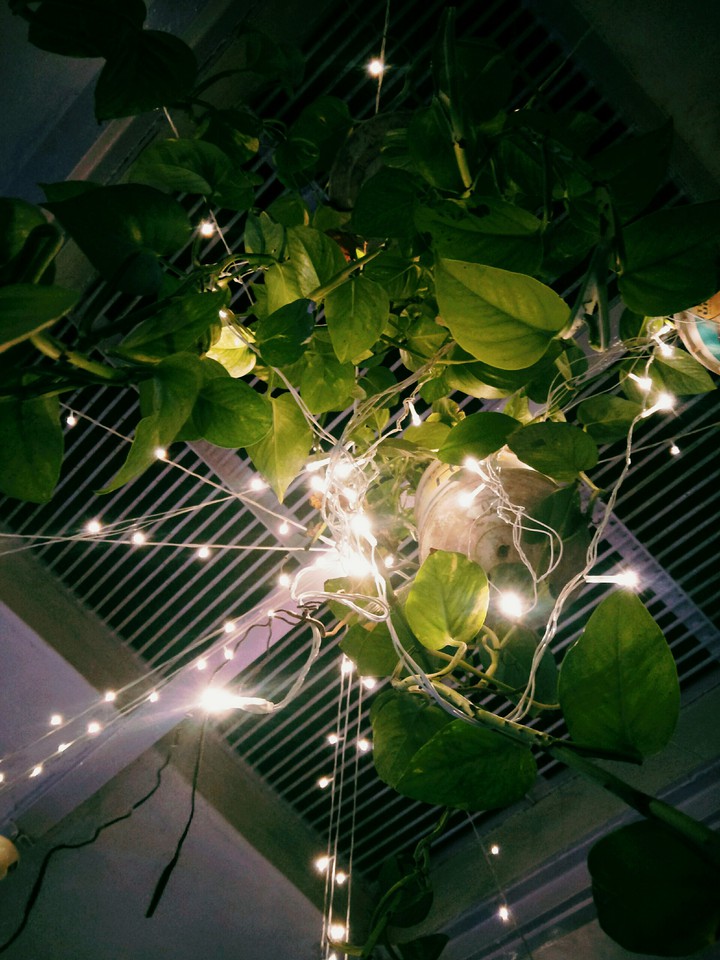 Green in night lights