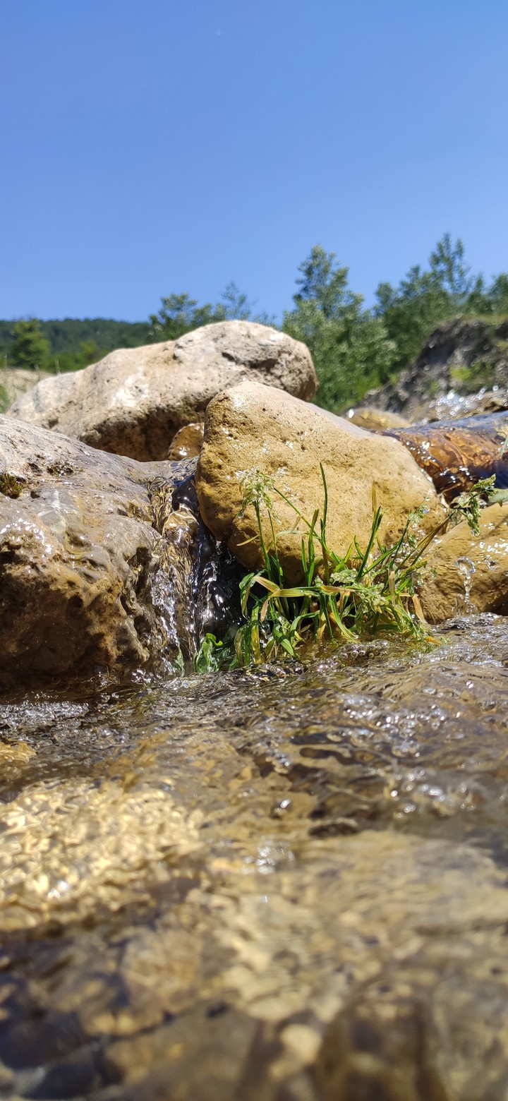 Река