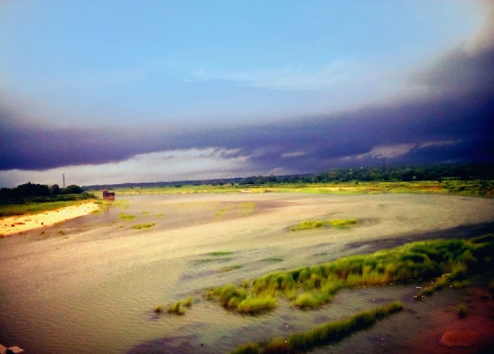 River bank
