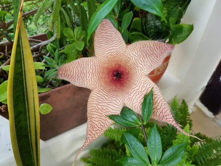 nature is pretty