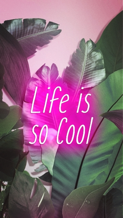 Life is so cool