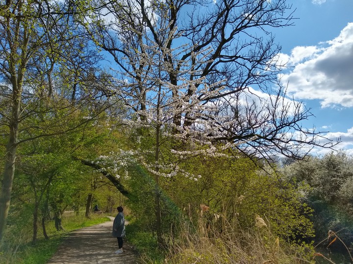 cold Spring