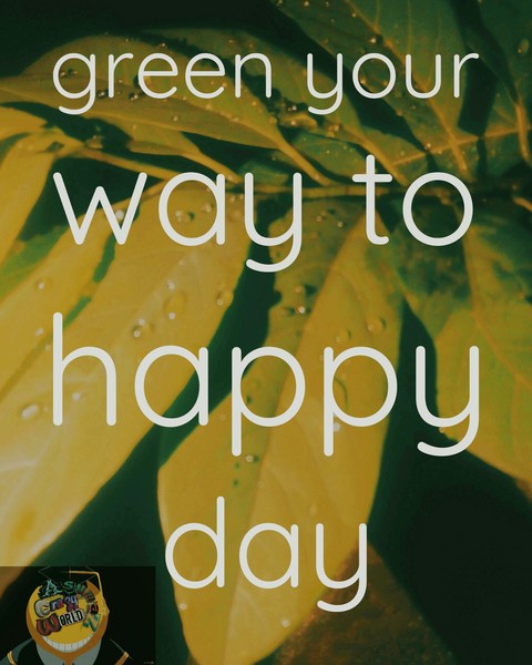 font, random wallpapers