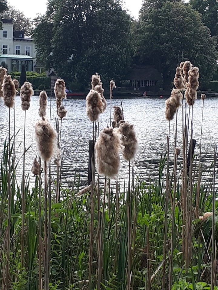 An der Alster/Hamburg