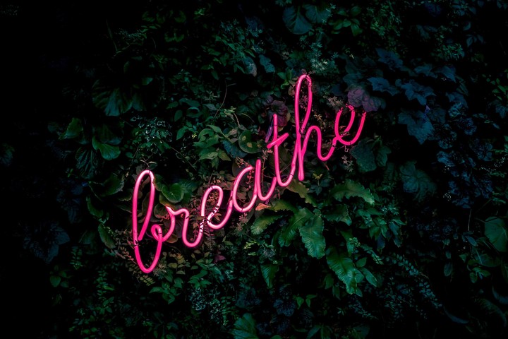 neon sign