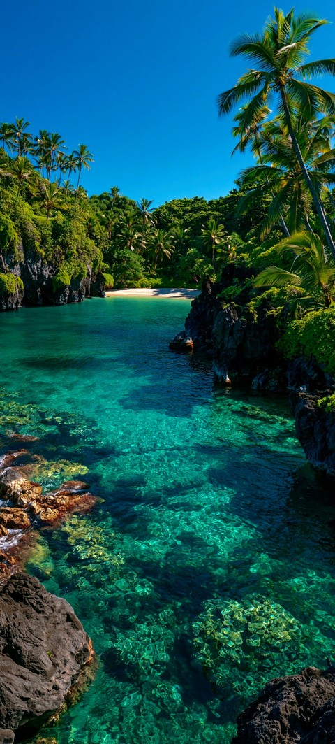 fonds d'écran blue, ocean