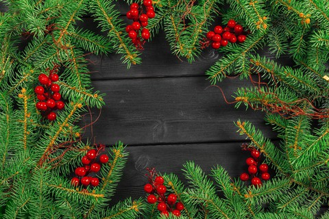 merry Christmas ?