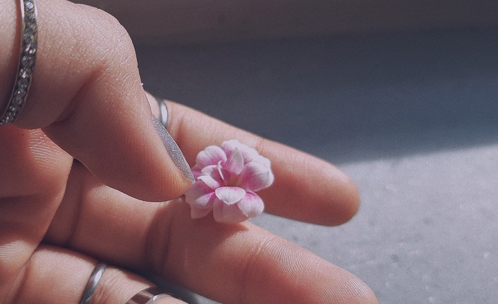 Pink flower ♡
