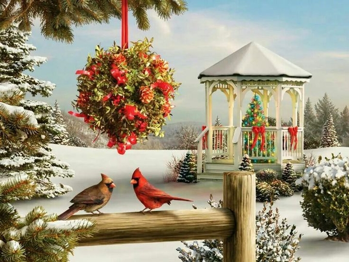 xmas cardinal
