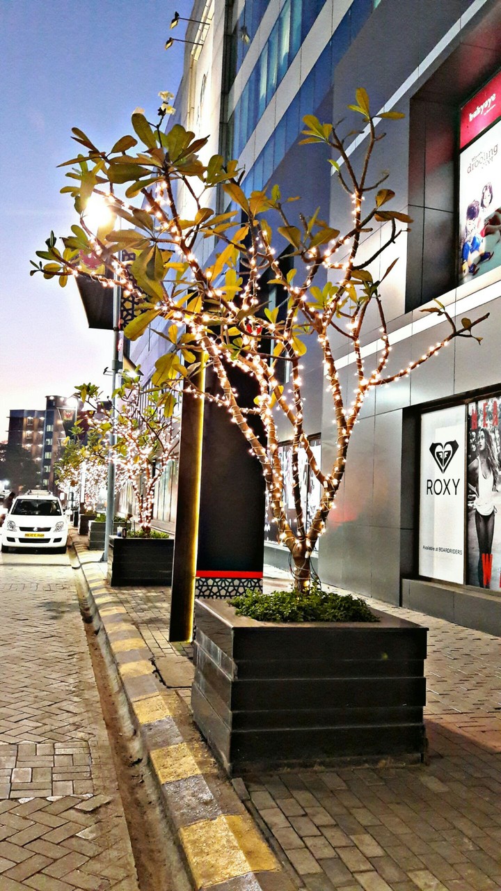 Lights up..!!