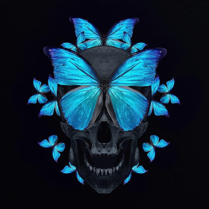 Black and Blue