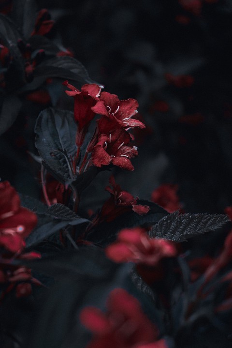 red