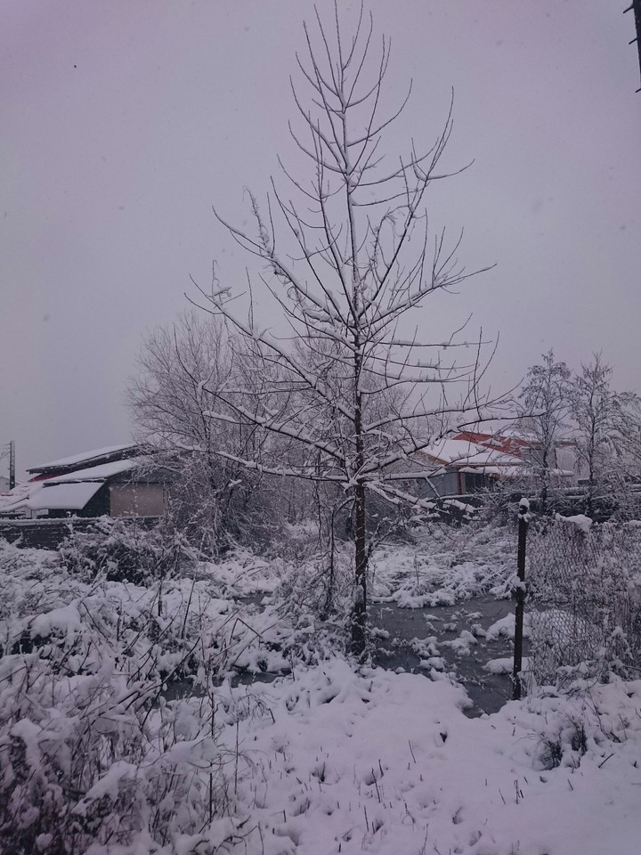 Snow