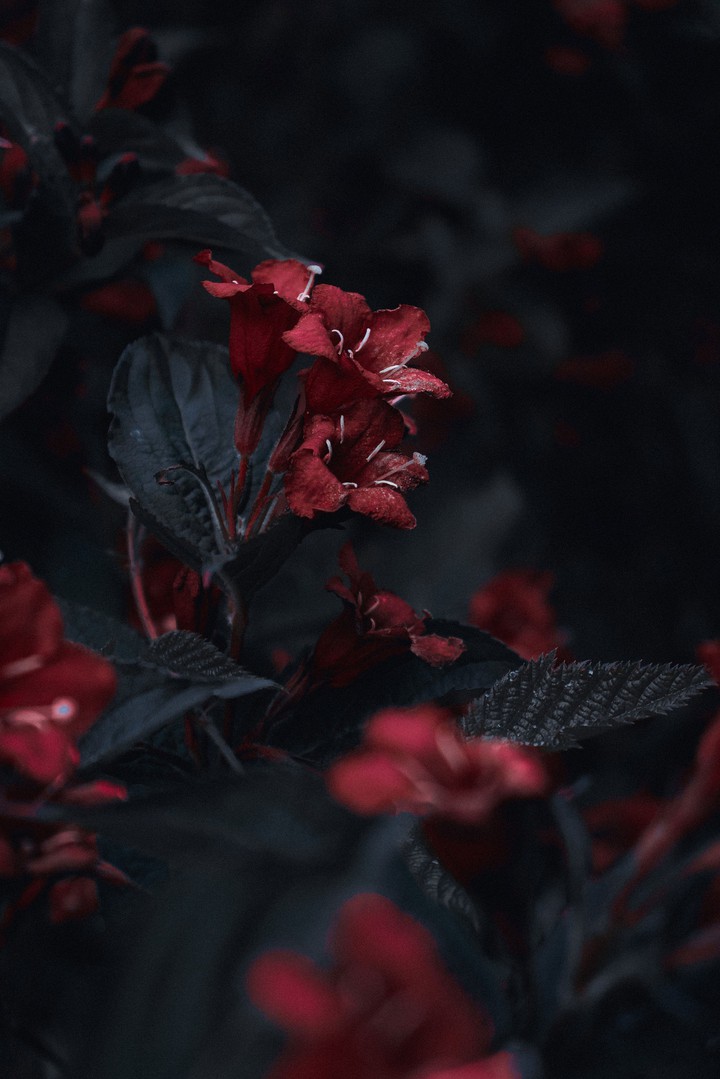 red