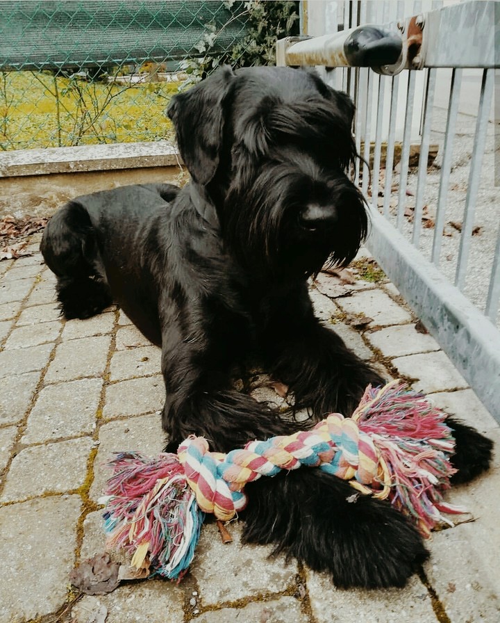 vi presento DOC