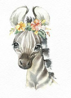 zebra