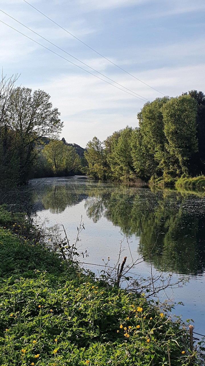 Spring days