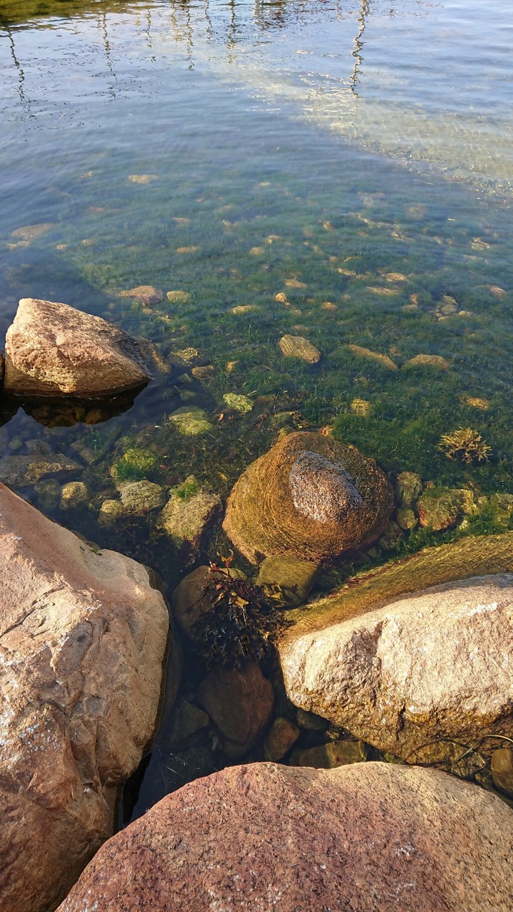 Valjeviken in Sweden