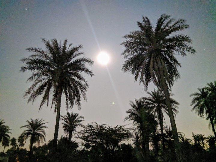 night shoot