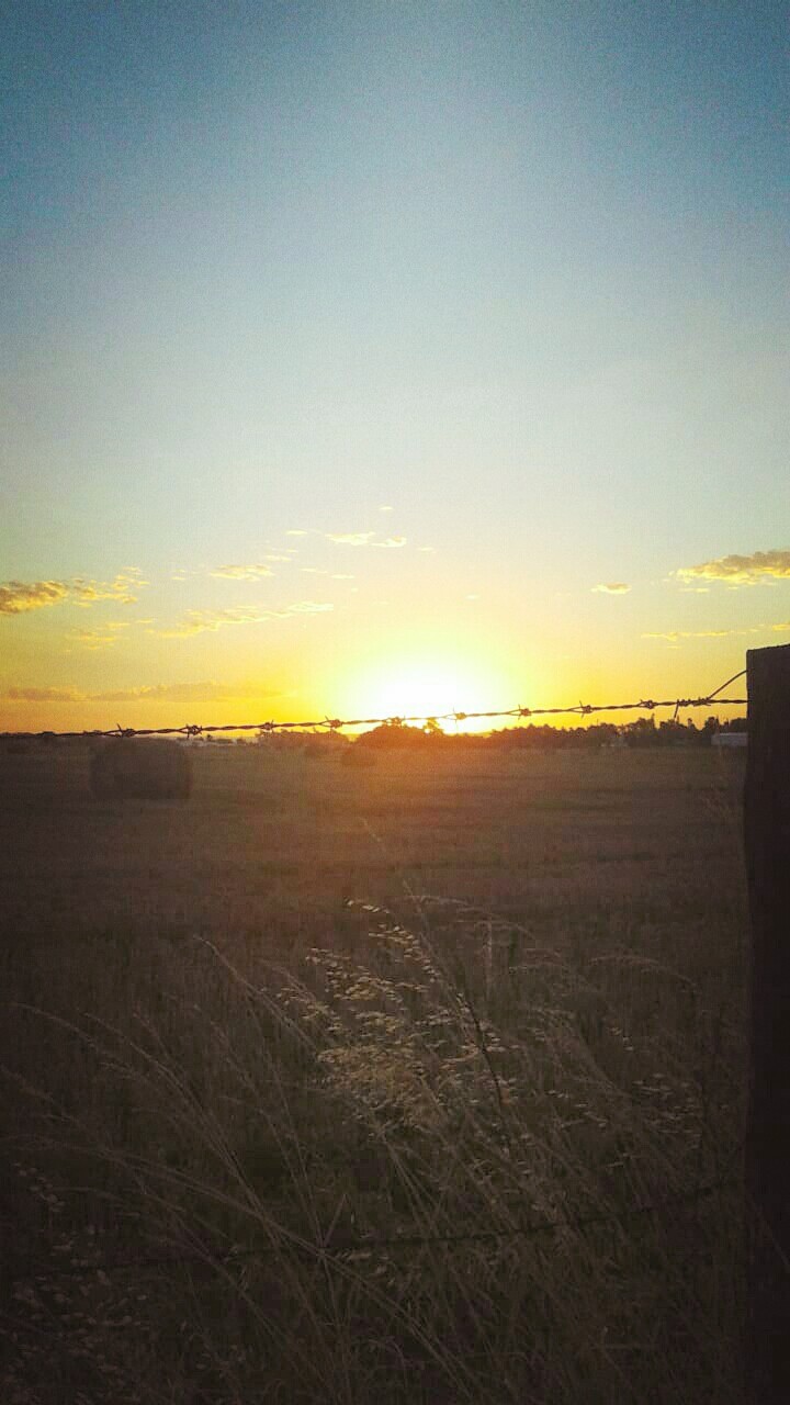 Atardecer