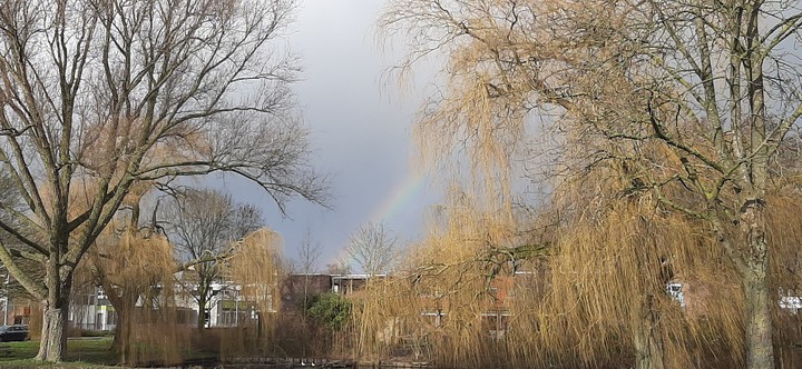 small rainbow