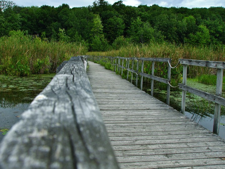 marche nature