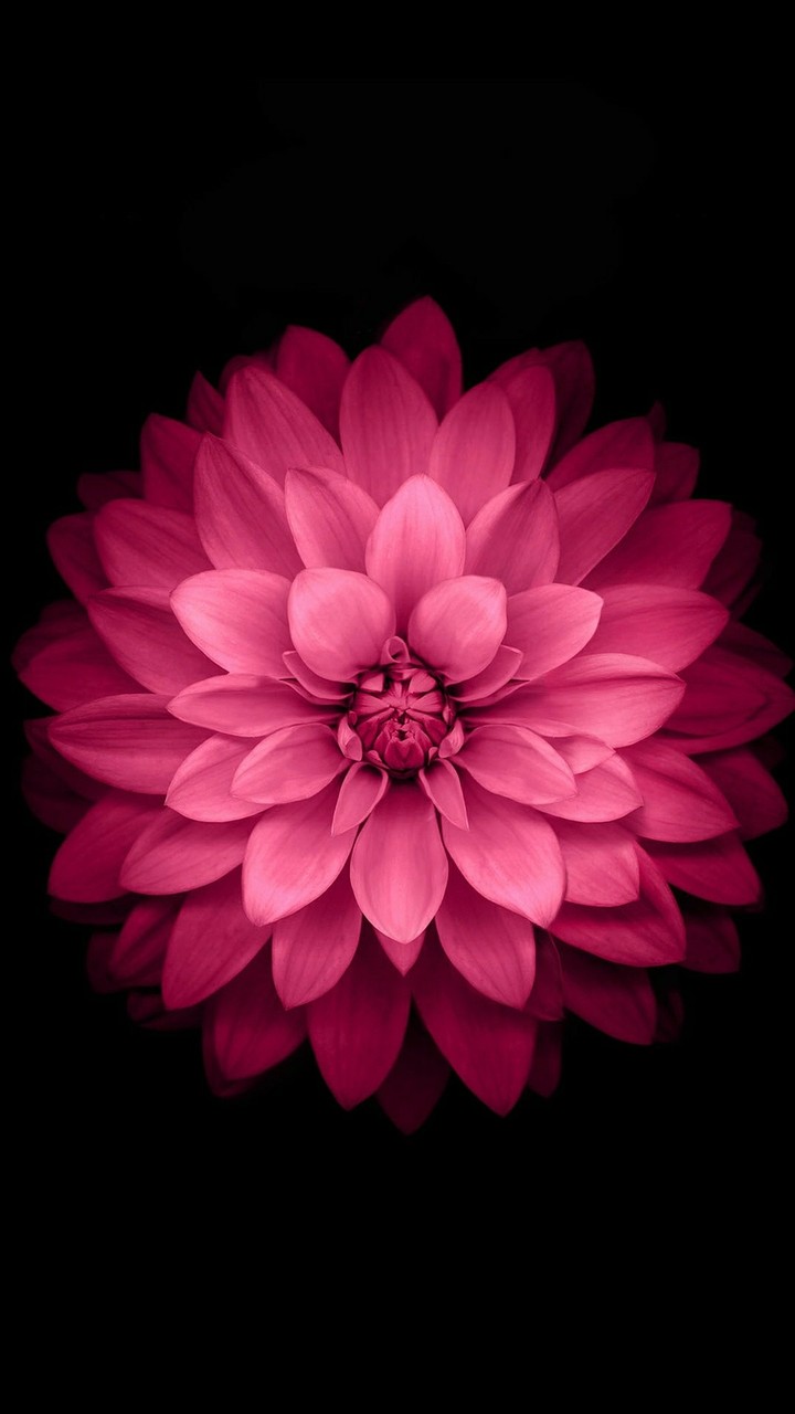 ipad wallpaper