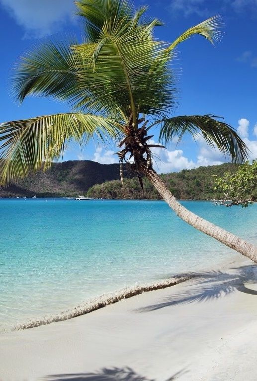 Paradise