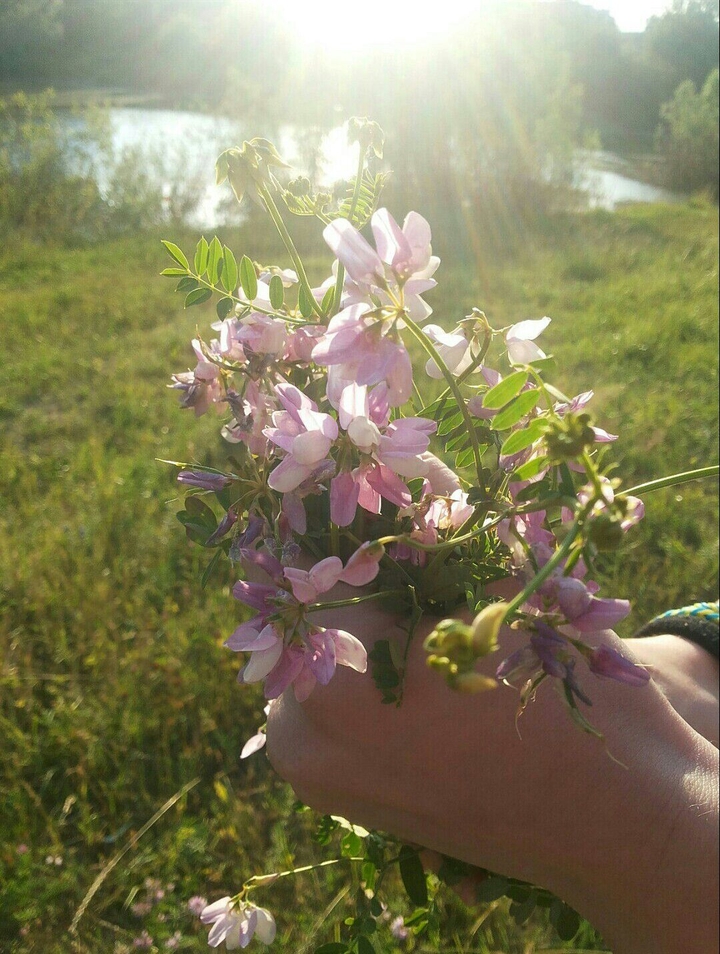summer