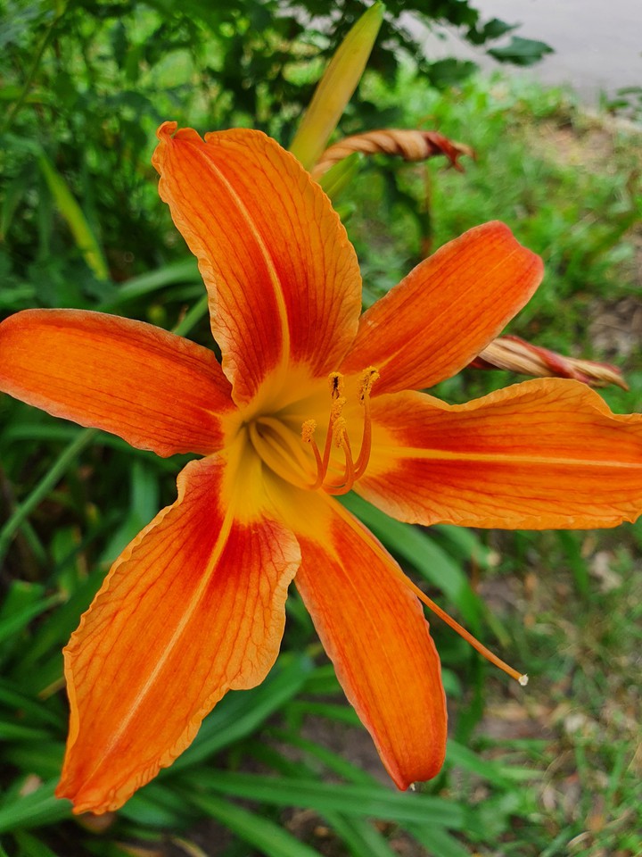 summer