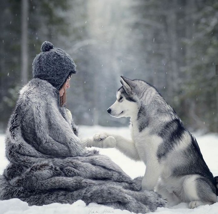love