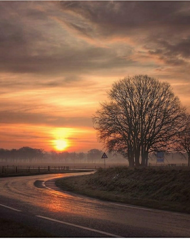 morning