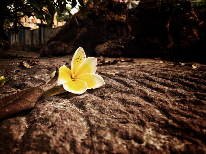 lonely