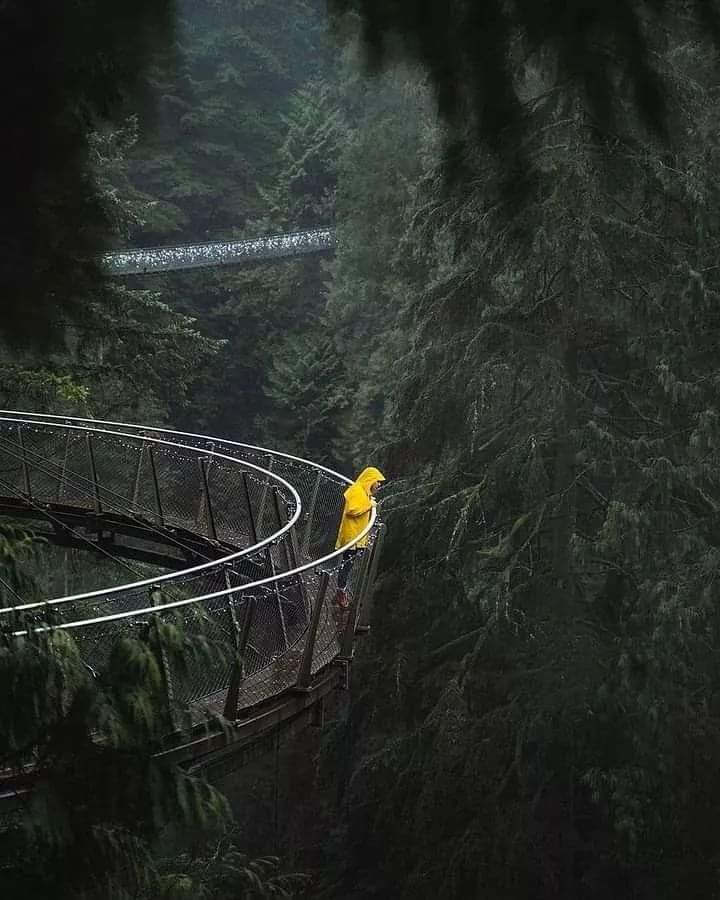 Canada✌❣✌