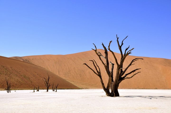 wall