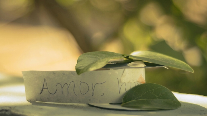 Never Forget Love