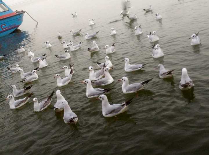 Ganga